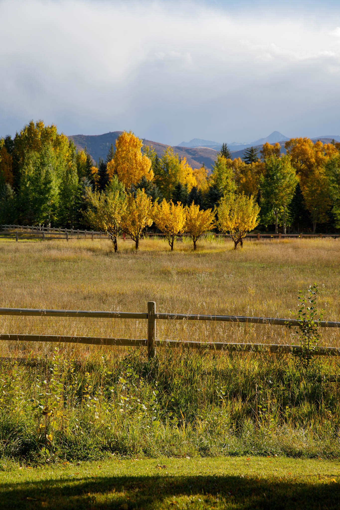 Aspen Lifestyle — photo 3