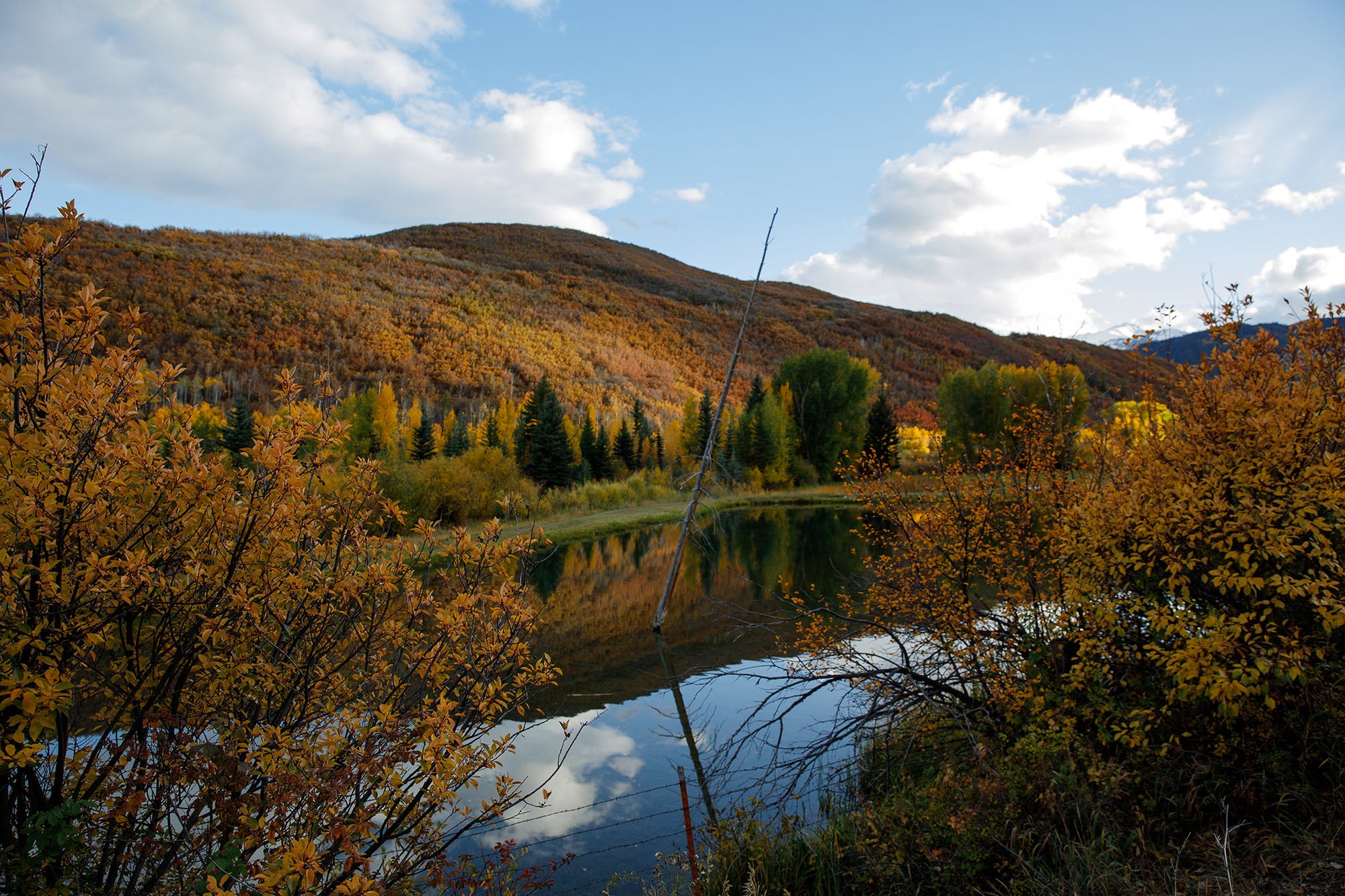 Aspen Lifestyle — photo 14