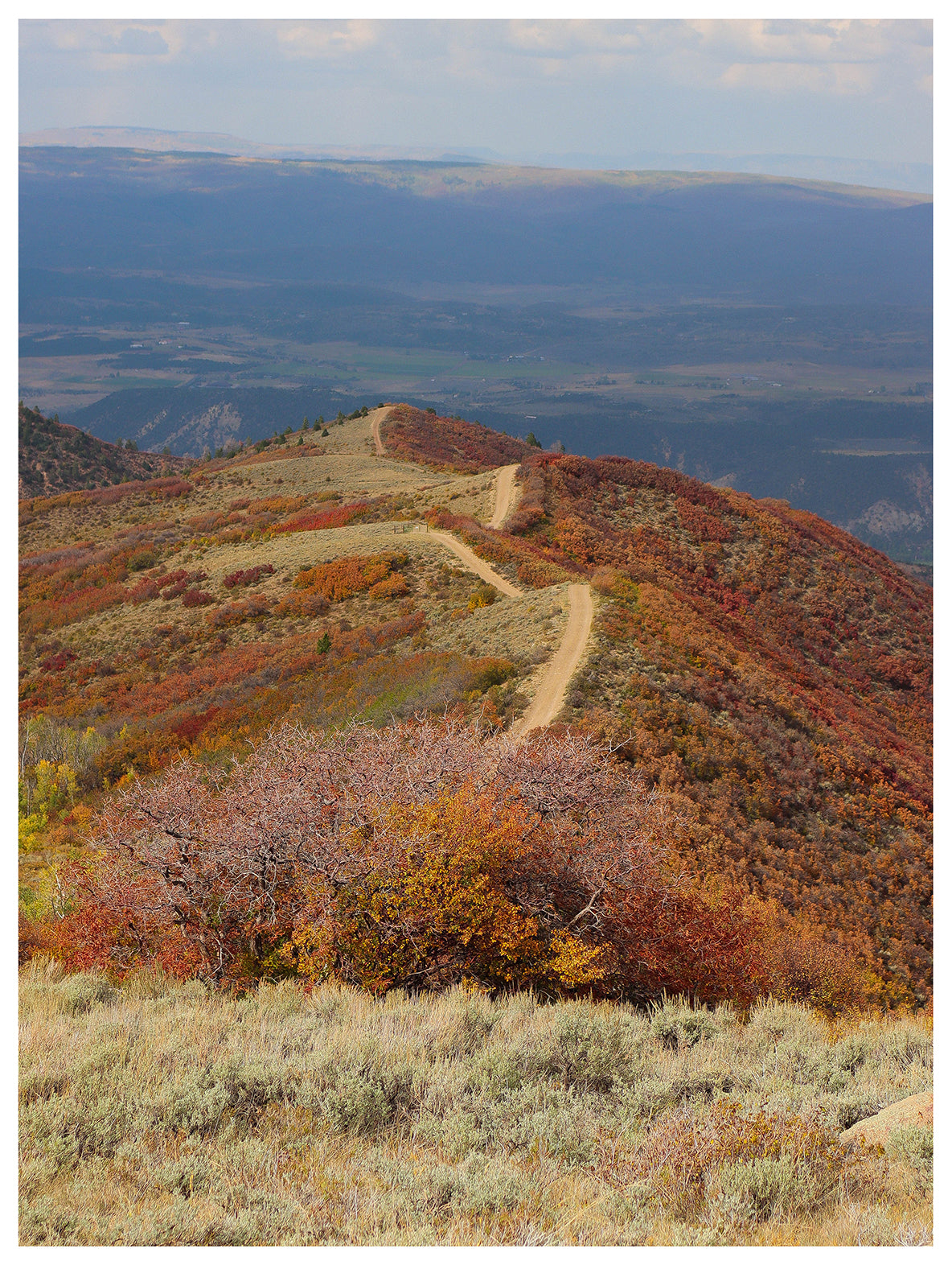 Aspen Lifestyle — photo 11