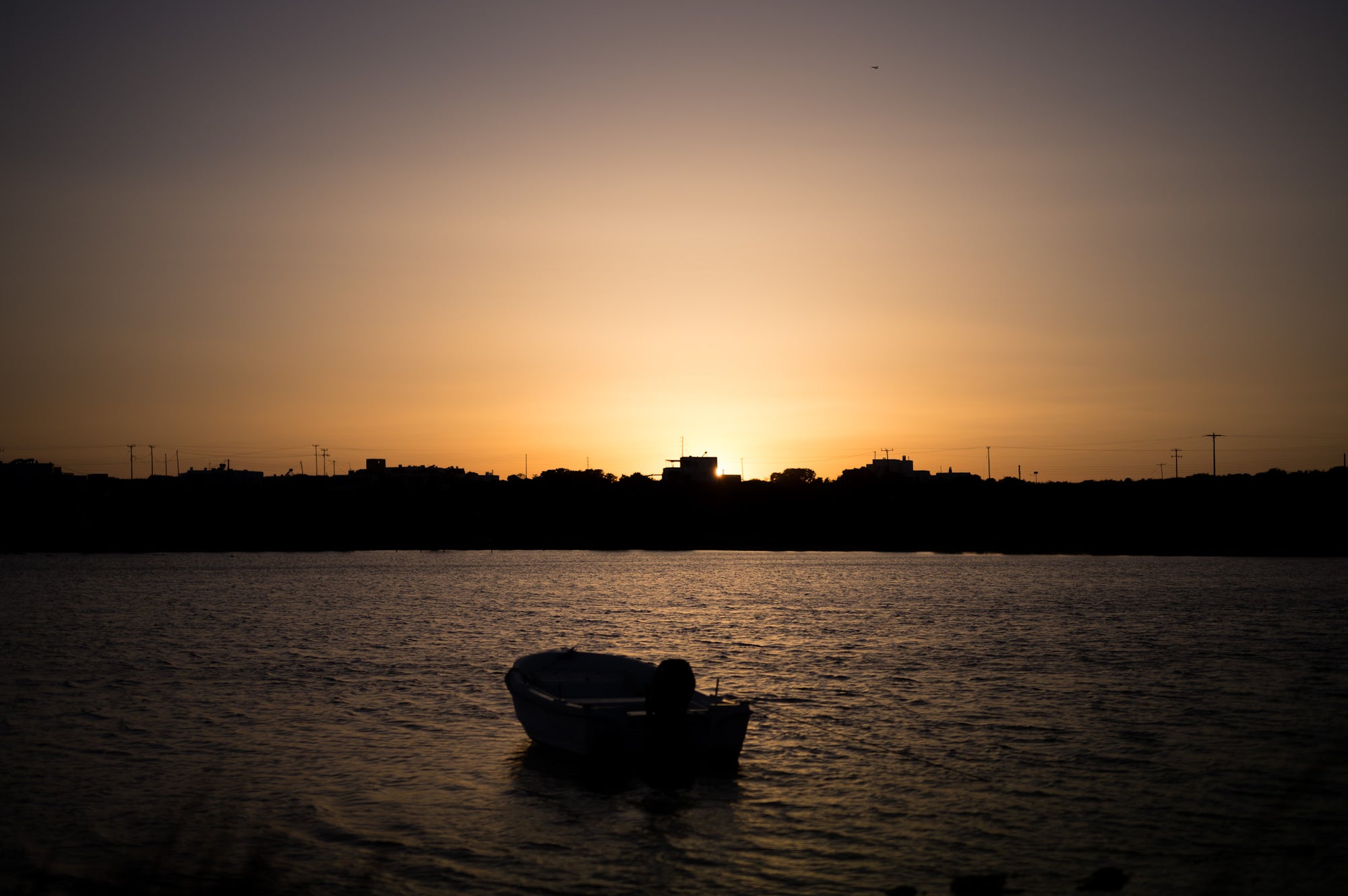 Anti Paros, 2024 — photo 4