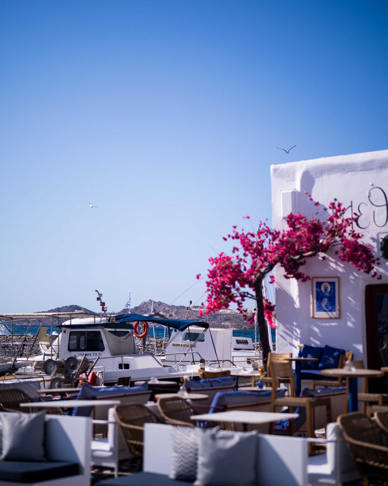 Anti Paros, 2024 — photo 8