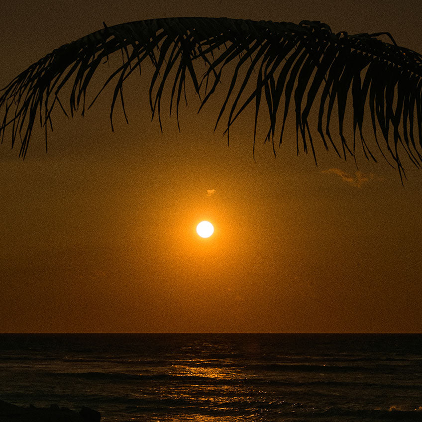 Banyan Tree Bimini Campaign 2024 — photo 15