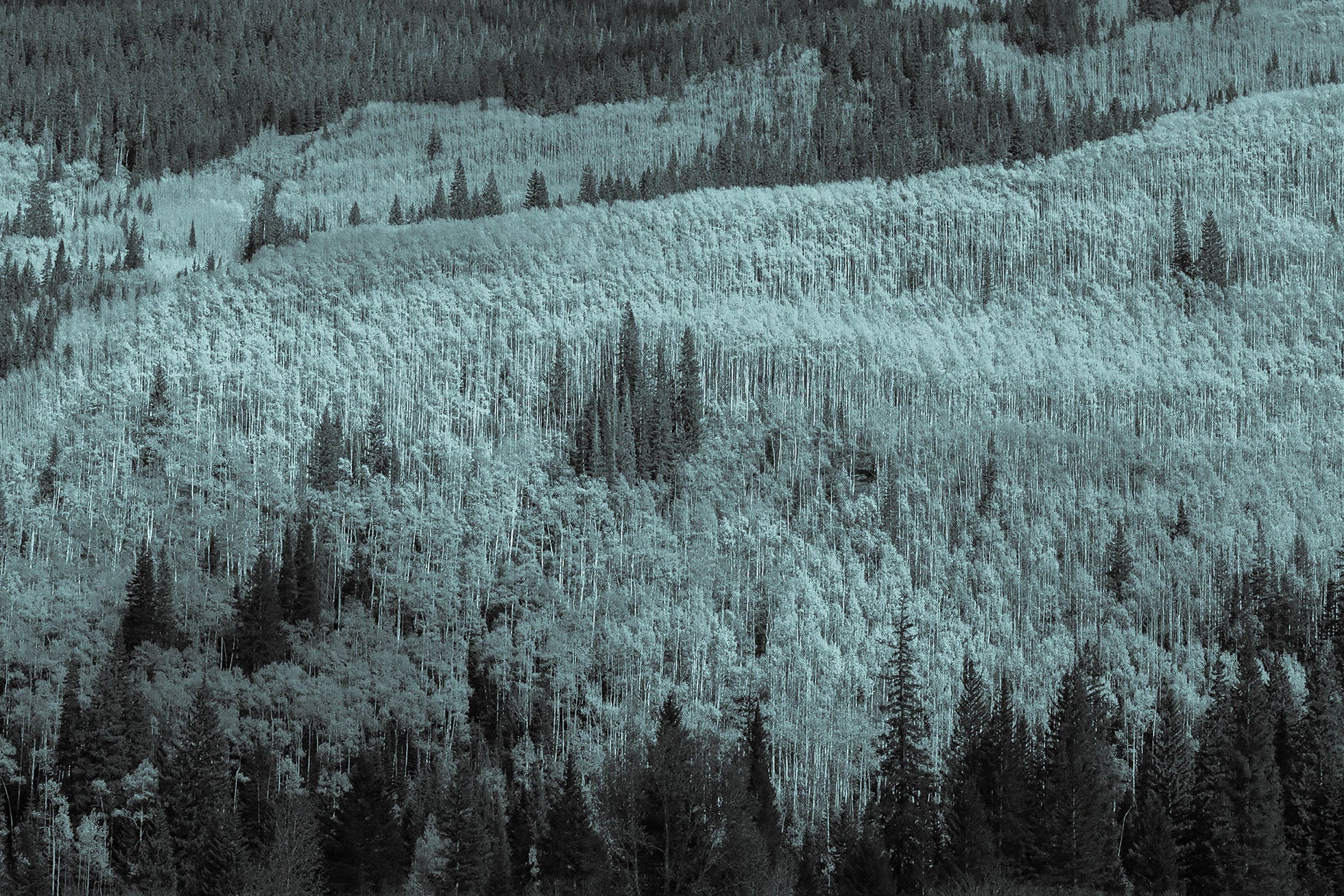 Aspen Lifestyle — photo 10