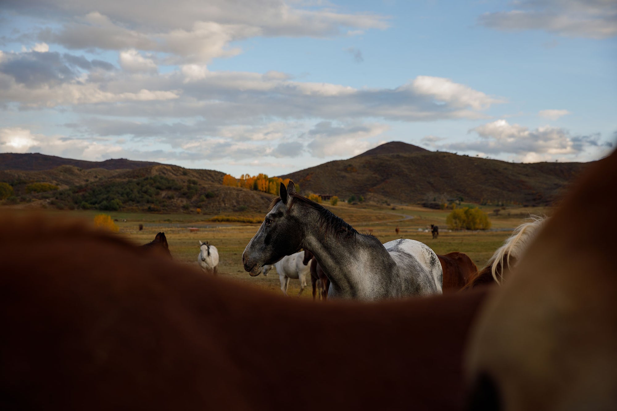 Aspen Lifestyle — photo 8