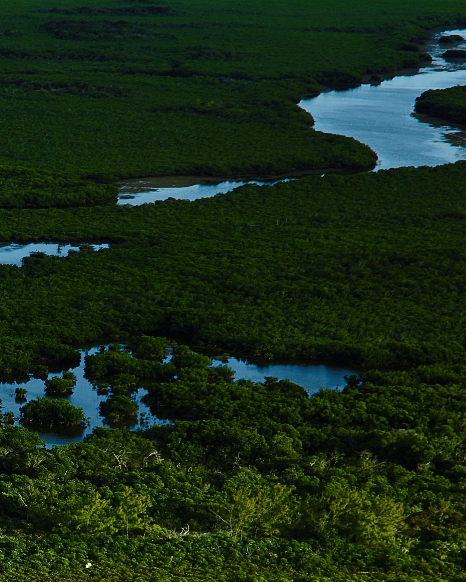 Banyan Tree Bimini Campaign 2024 — photo 13