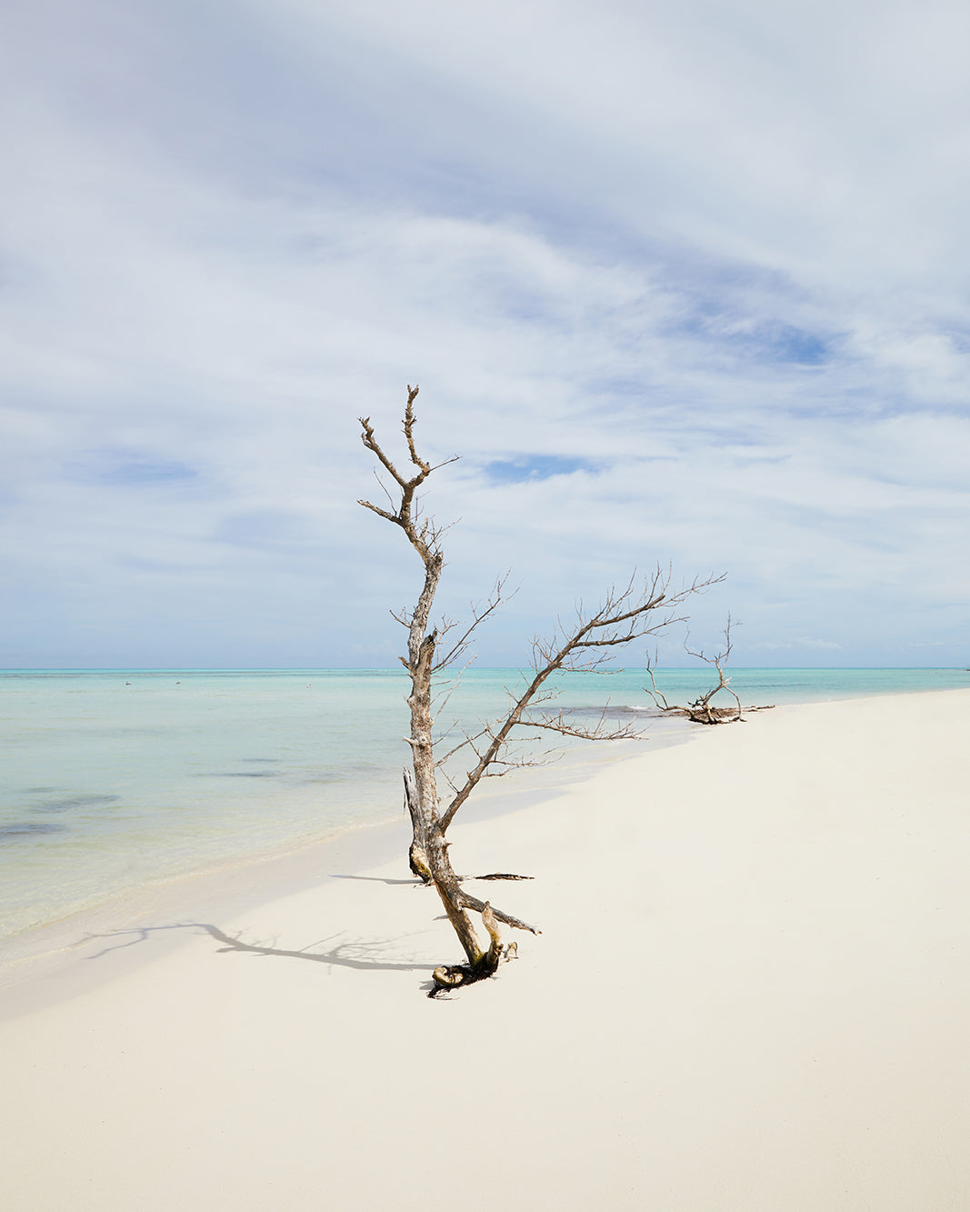 Banyan Tree Bimini Campaign 2024 — photo 1