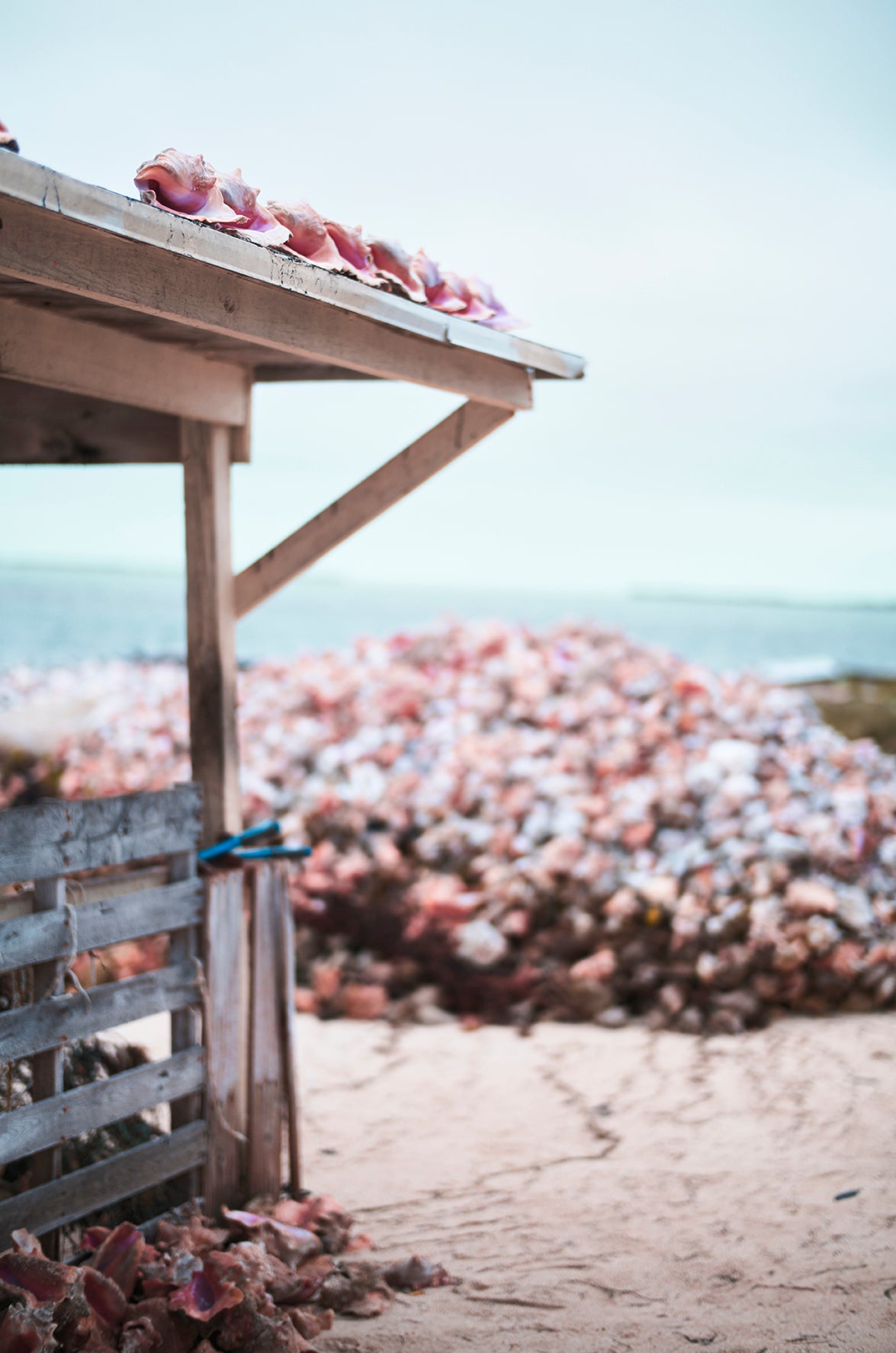 Banyan Tree Bimini Campaign 2024 — photo 17