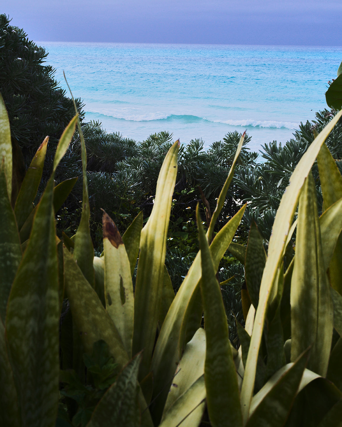 Banyan Tree Bimini Campaign 2024 — photo 8