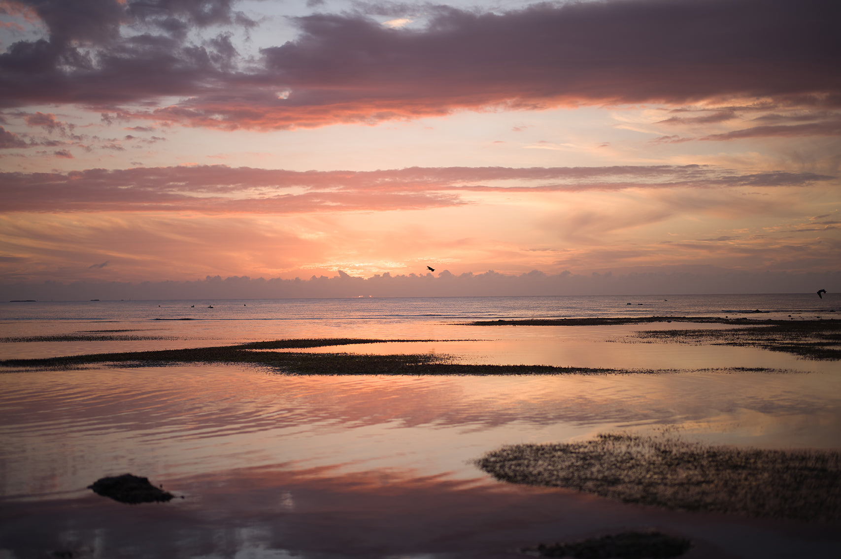 Banyan Tree Bimini Campaign 2024 — photo 18