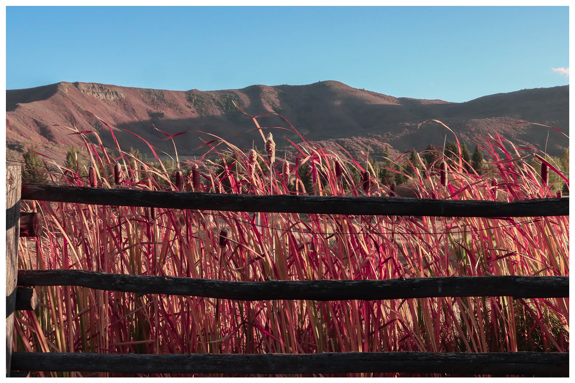 Aspen Lifestyle — photo 6