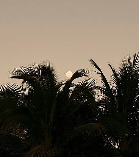 Banyan Tree Bimini Campaign 2024 — photo 6