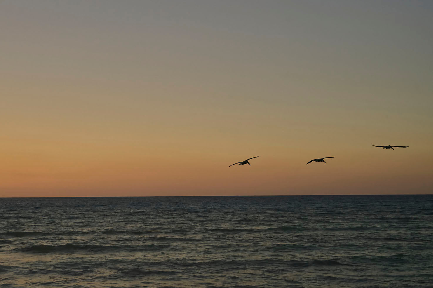 Banyan Tree Bimini Campaign 2024 — photo 24