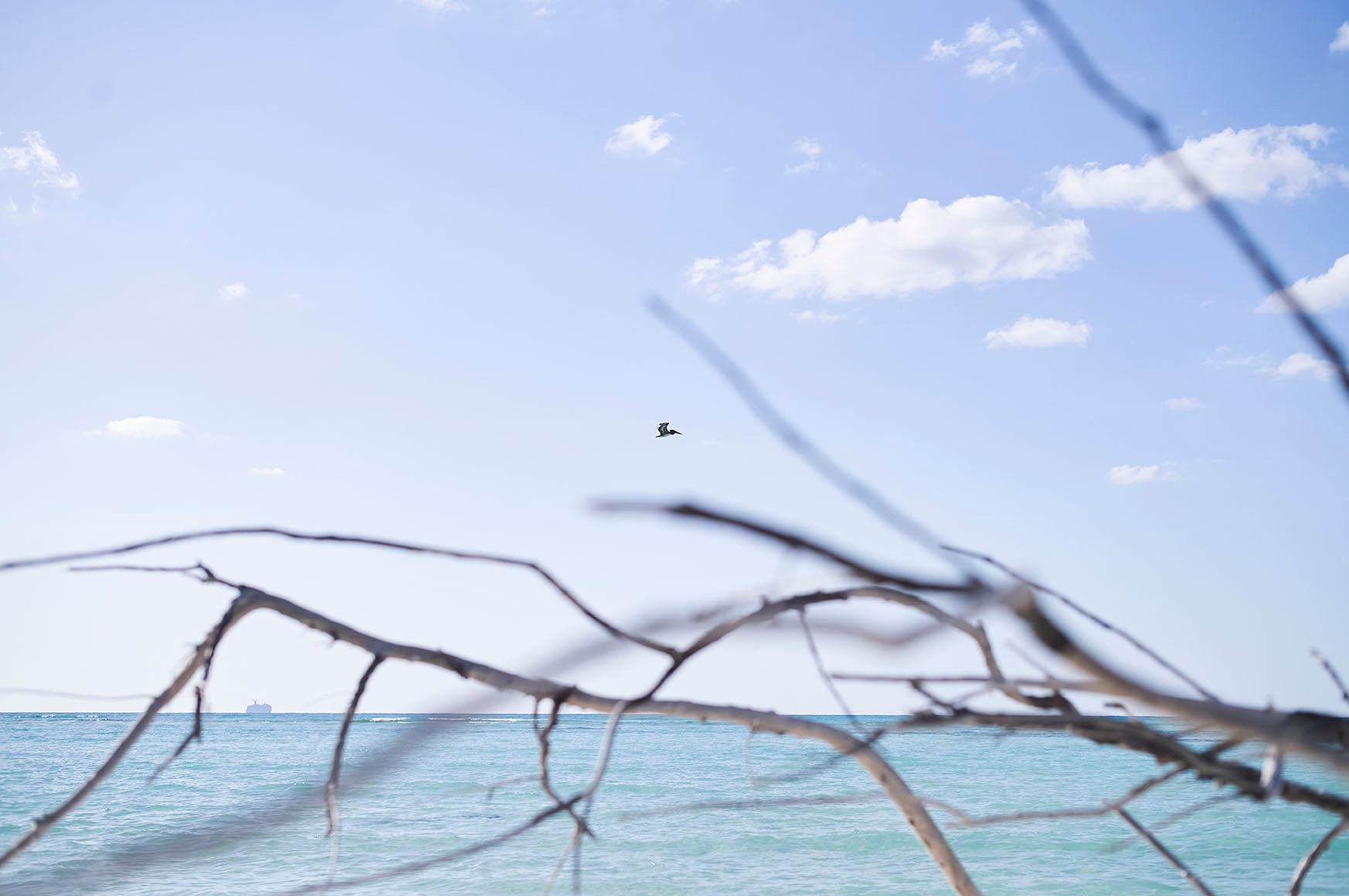 Banyan Tree Bimini Campaign 2024 — photo 19