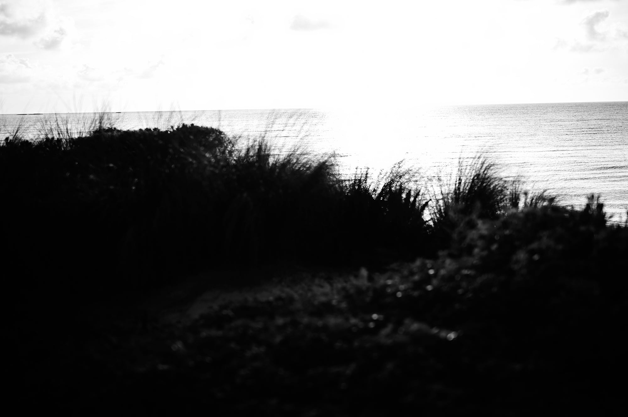 Rockwell Residence Bimini Campaign 2024 — photo 3